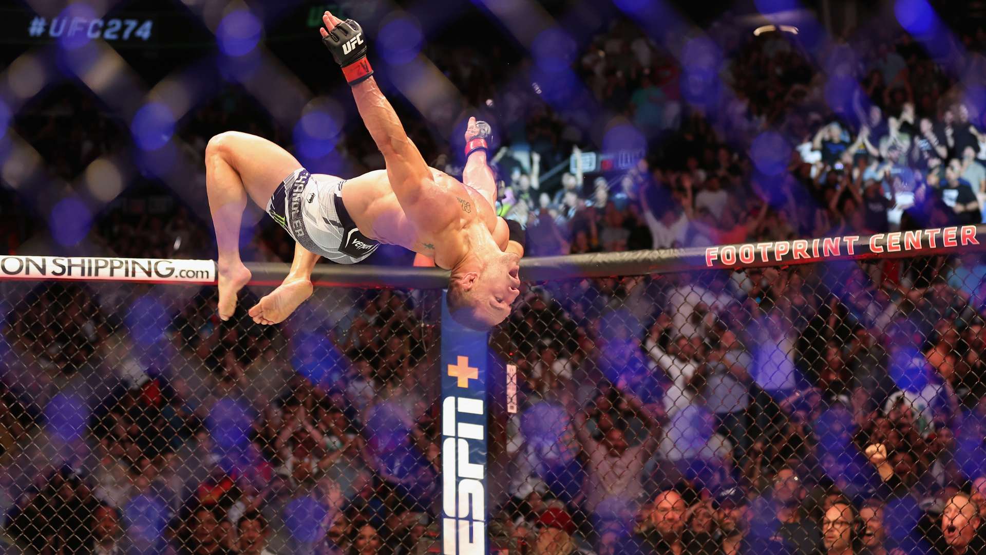 取得了良好 取得了良好